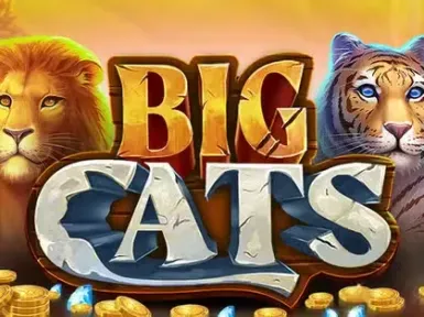 Spinbara Casino screenshot